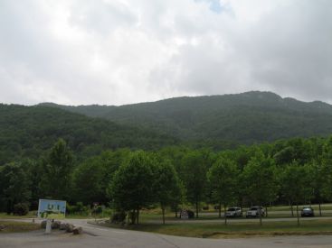 2006/06/17-7403