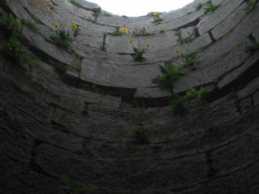 2006/06/22-7790