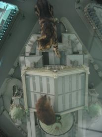 2006/06/27-8321
