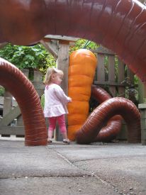 2010/08/21-6133
